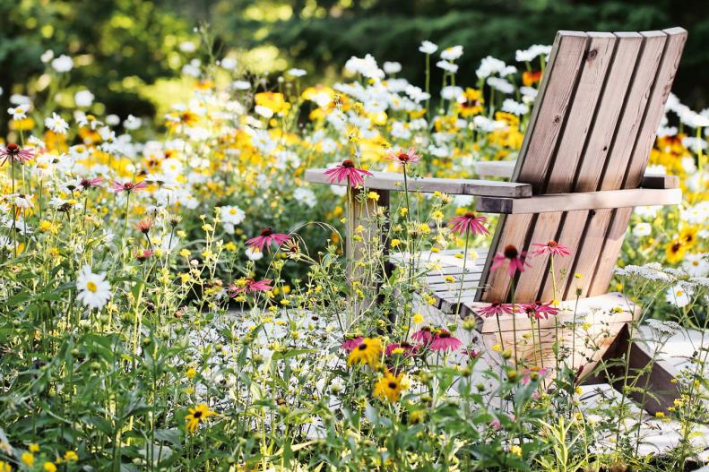 Coneflowers and daisies in a mini meadow beside a chair for lounging.