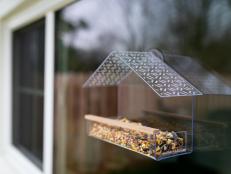 View of Finished Bird Feeder From Outside, Suction Cup on Window