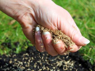 Hand Spreading Grass Seed in Dirt