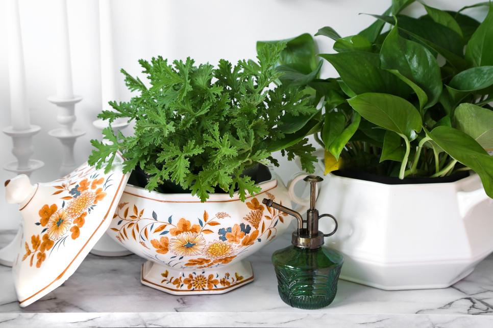 Turn a Soup Tureen Into a Planter