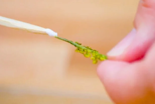 Arrange a selection of flowers on the glass and use a wooden skewer to add a bit of decoupage glue to each piece.