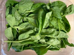 Spinach, Day 8, With Bluapple Spinach, Day 8, With Bluapple