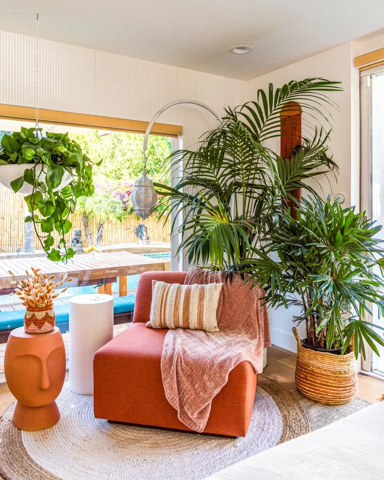 Orange chair with terra cotta table and large palm plants. 