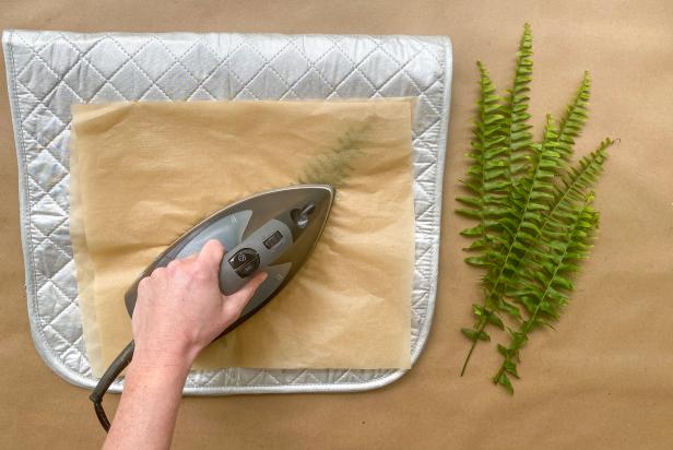 Place one fern sprig between two pieces of parchment paper on an ironing mat. Then, use an iron set to medium-high heat to press each fern sprig.