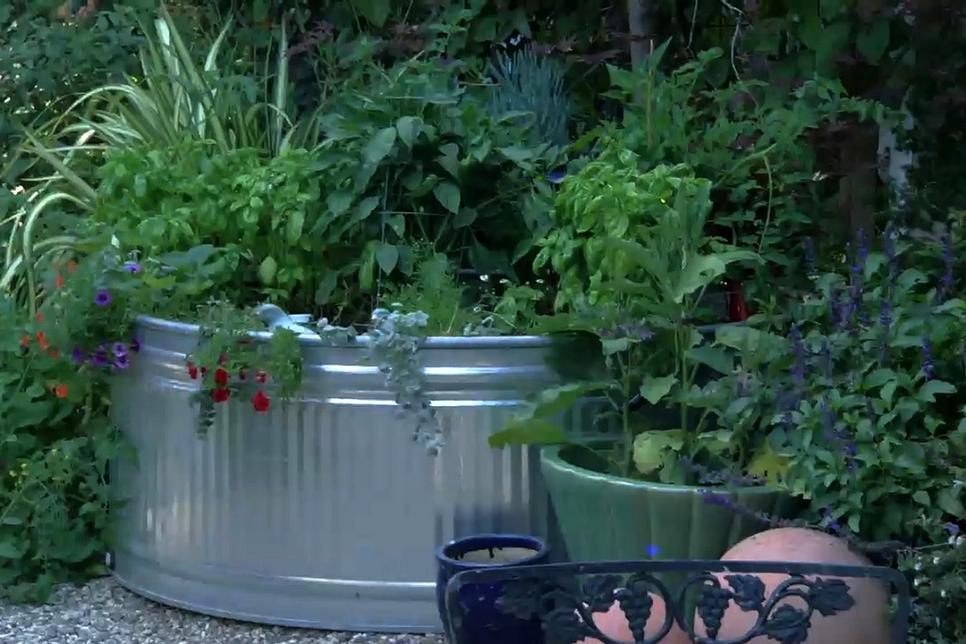 Get Garden Design Ideas From an Expert