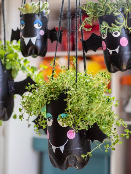 Or, Magic Empty Bottles Into Batty Planters