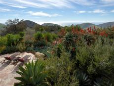 Chairs and Drought Tolerant Garden