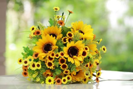 Grow Sunflowers in Cheerful Colors