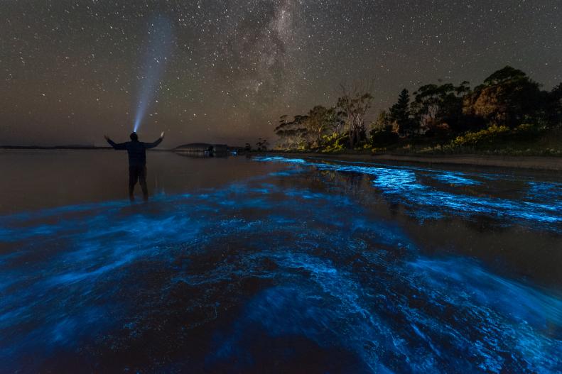 A man taking a selfie under the Milky Way and standing in blue bioluminescence in the water.