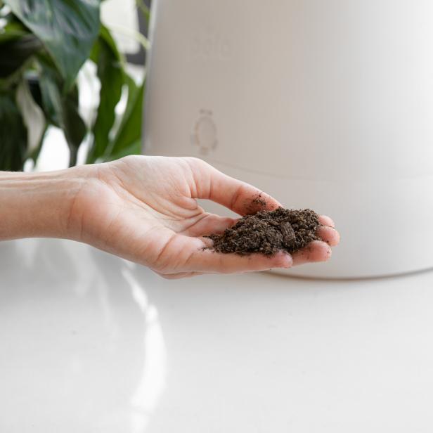 The end result of the Lomi composting system is: soil! Depending upon which setting you use, the resulting compost will have different appearances.