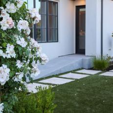 White Flowers and Paver Path