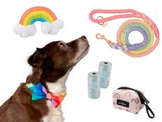 HGTV Magazine found the coolest rainbow-themed pet gear for your dog or cat.