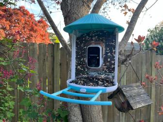 Bird Feeder With Pointed Roof and Camera in Middle 