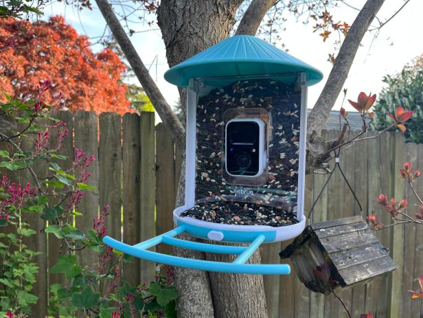 Bird Feeder With Pointed Roof and Camera in Middle 