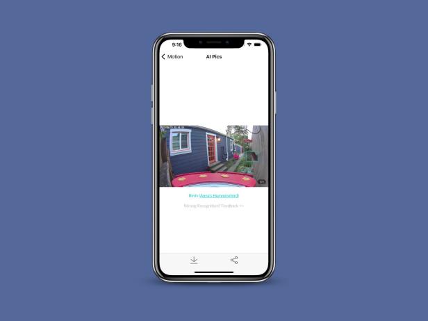 Birdfy Phone AI Graphic