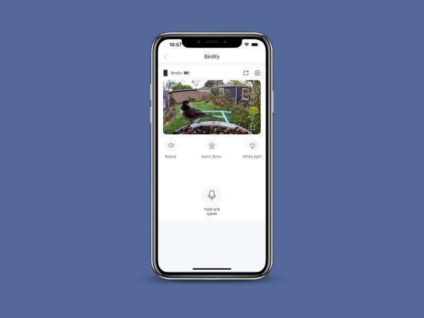 Birdfy Phone Live View Graphic