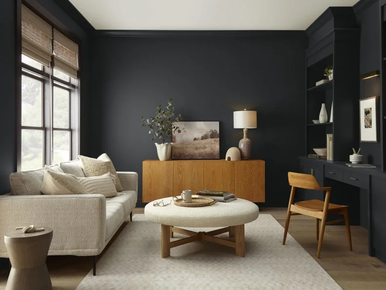 HGTV presents this stylish, contemporary family room with black walls painted with Cracked Pepper, Behr's 2024 Color of the Year.