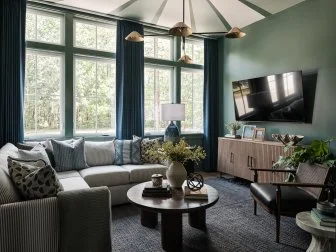 Moody Green Media Room With Large Windows