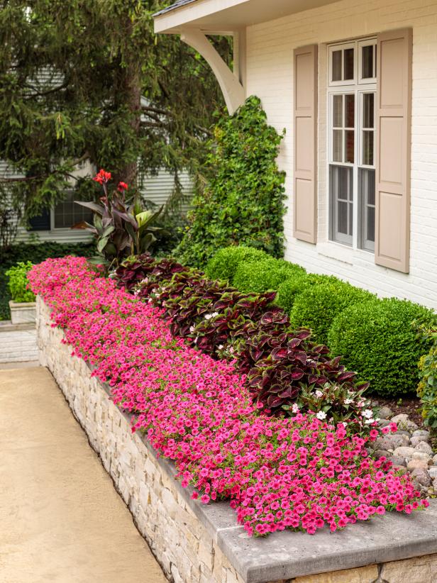 Flower Bed With Distinct Rows of Different Plants