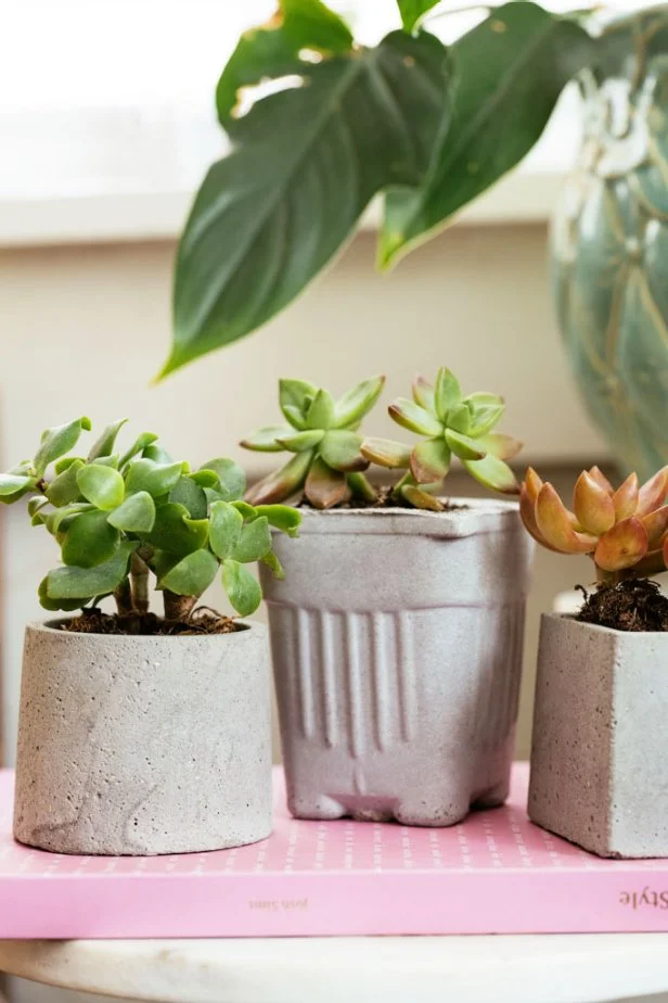 diy concrete planters