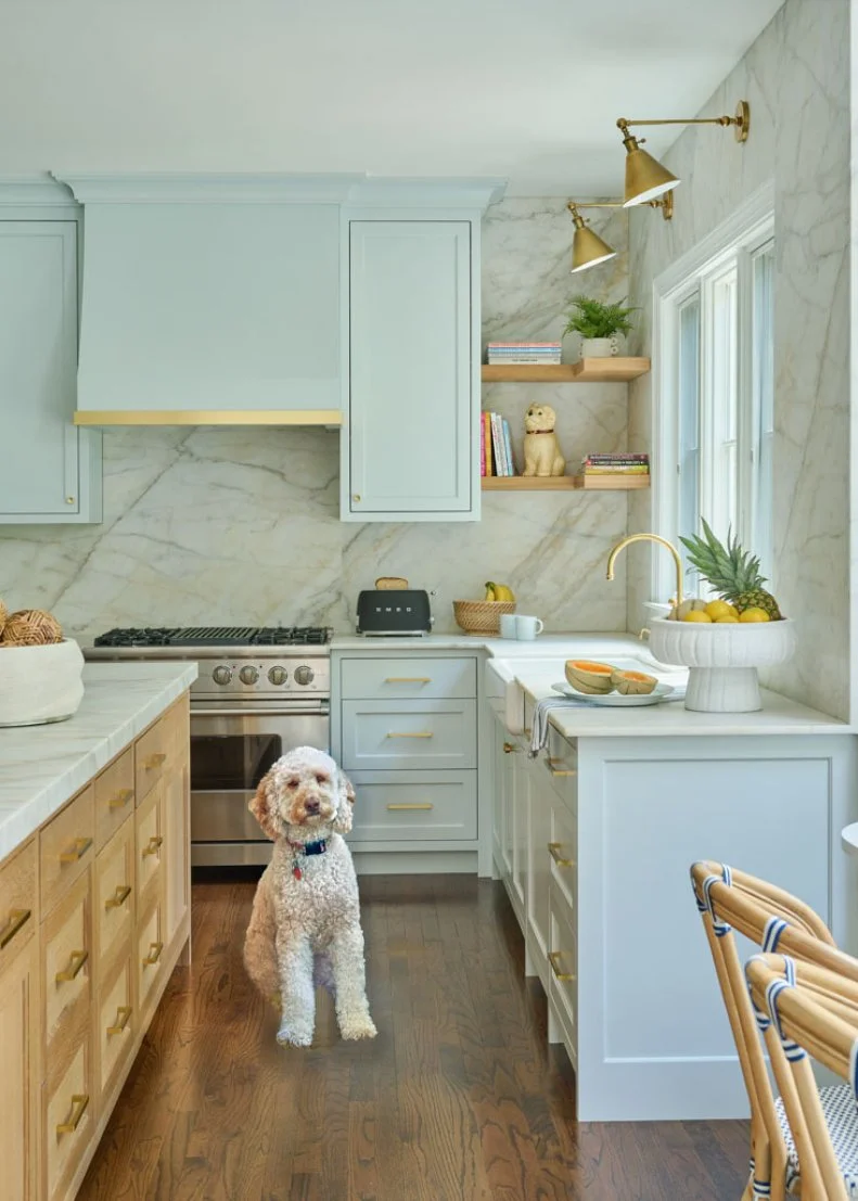 Goldendoodle Sitting in White Transitional Kitchen