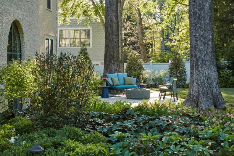Lush Backyard with Patio
