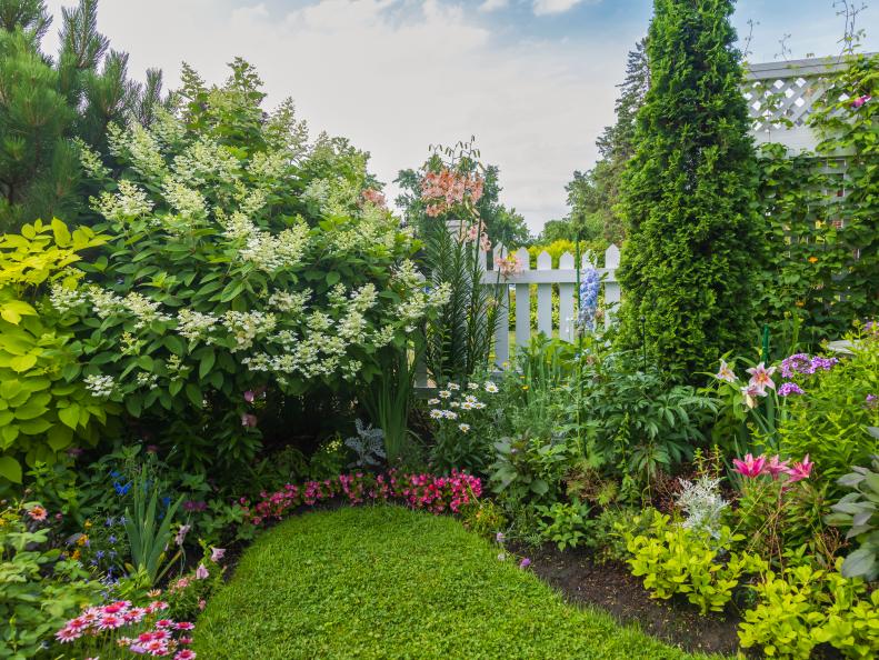 Backyard Garden Filled With Verdant Plants, Flowers and Trees