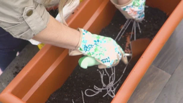 Fill Planter with Soil