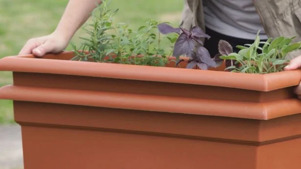 Nest Planters