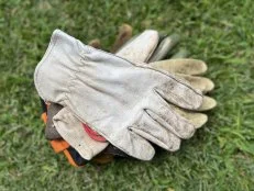 Dirty gardening gloves.