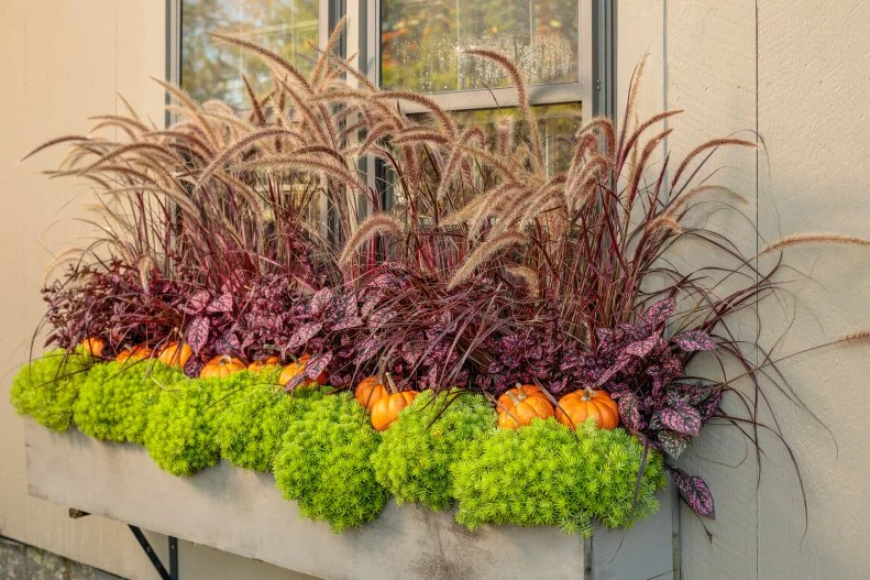 Fall Window Box Display