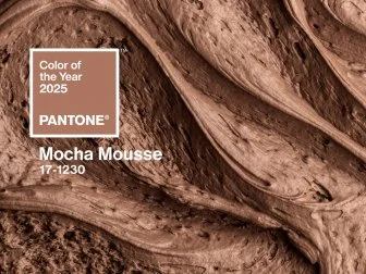 Mocha Mousse by Pantone