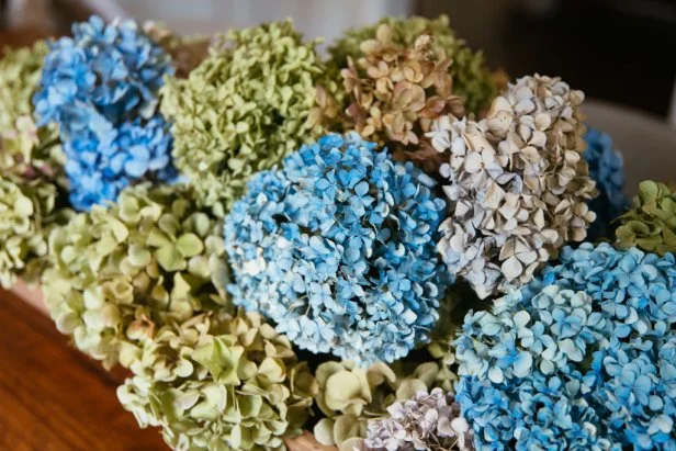 A display of dried hydrangeas in a variety of different colors 