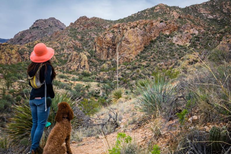 Hispanic woman hiking with a dog at Catalina State Park, Arizona