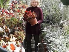 If anyone knows all about container gardening, it's Martha. In Martha Knows Best, she shares her top tips for planting pots and how to create a visually appealing garden using planters.