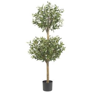 Olive Topiary Tree