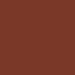Roycroft Copper Red by Sherwin-Williams