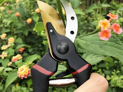 Top-Rated Gardening Buys You Need Now, According to Amazon Shoppers