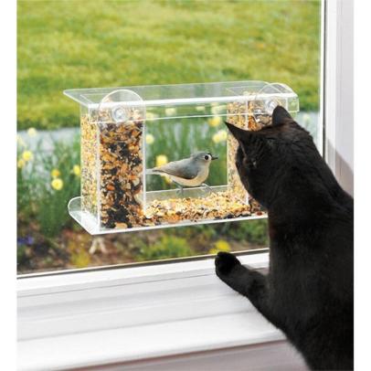 The 10 Best Window Bird Feeders for Indoor Bird-Watching