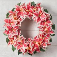 Outdoor Lit Poinsettia Celebration Foliage