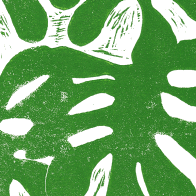 Little Havana Wallpaper