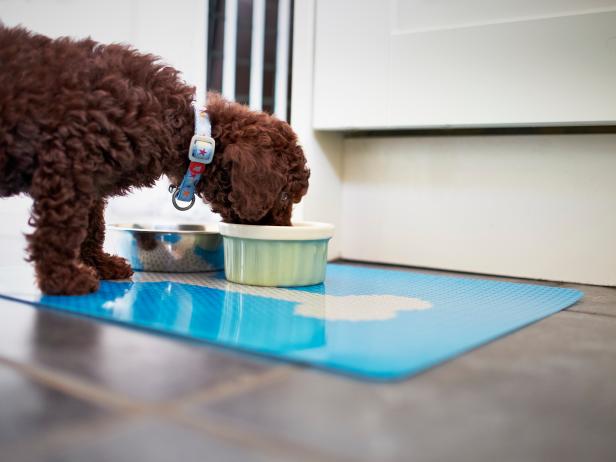 Prep Your Home for a Puppy With These Lifesavers