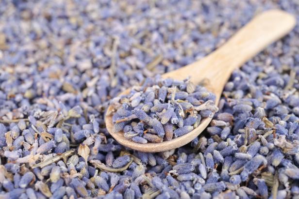Lavender seeds form inside the flowers and can be separated from the flower heads by shaking them gently after drying. 
