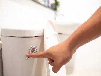 hand flush toilet