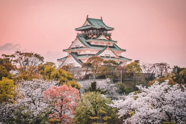 Osaka Castle at sunset, beautiful Japanese temple cherry blossom trees, sakura season, autumn Japan.