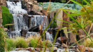 Bradbury Estate Water Features: Pool and Waterfall