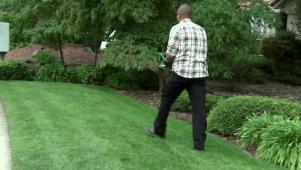 Green Lawn Maintenance Tips