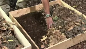 Gardening Tips: Composting