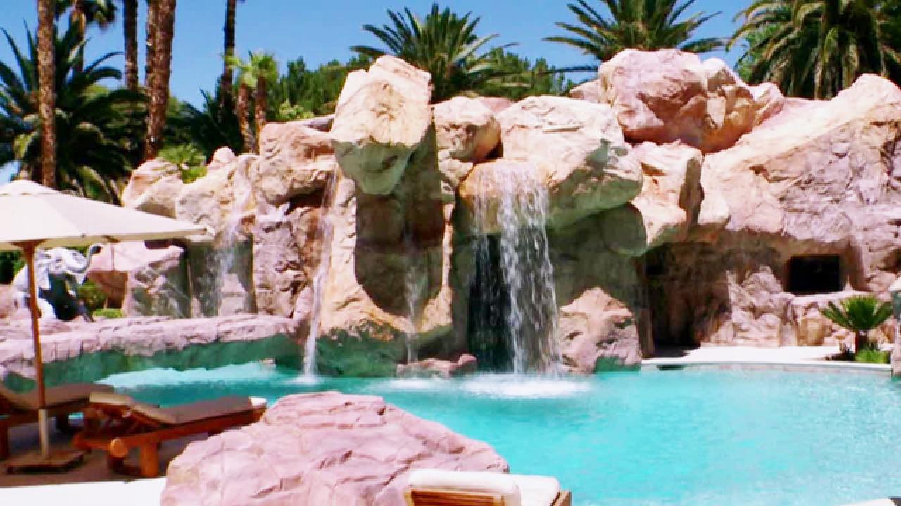 Safari Oasis Pool