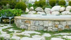 Gardening Ideas, Tips & Techniques | HGTV